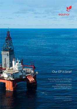 Equinor Environmental Plan in Brief