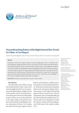 Variant Branching Pattern of the Right Internal Iliac Vessels in a Male