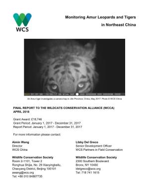 Monitoring Amur Leopards and Tigers in Northeast China