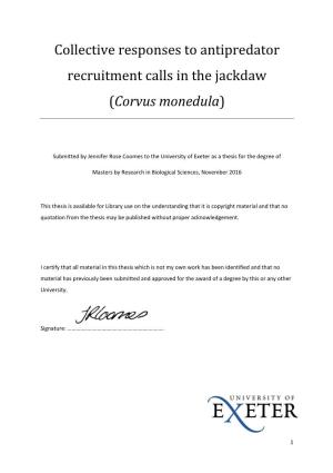 Collective Responses to Antipredator Recruitment Calls in the Jackdaw (Corvus Monedula)