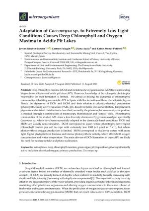 Adaptation of Coccomyxa Sp. to Extremely Low Light Conditions Causes Deep Chlorophyll and Oxygen Maxima in Acidic Pit Lakes