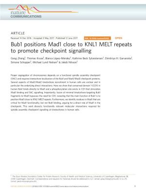 Bub1 Positions Mad1 Close to KNL1 MELT Repeats to Promote Checkpoint Signalling
