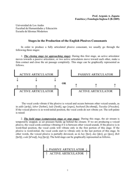 Stages in the Production of English Plosive Consonants