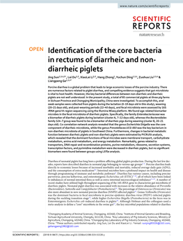 Identification of the Core Bacteria in Rectums of Diarrheic and Non-Diarrheic Piglets