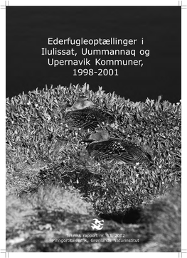 Ederfugleoptællinger I Ilulissat, Uummannaq Og Upernavik Kommuner, 1998-2001