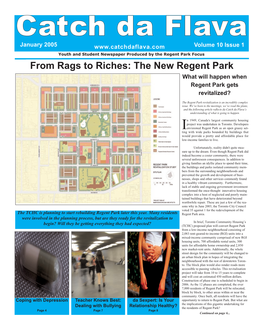 The New Regent Park What Will Happen When Regent Park Gets Revitalized?