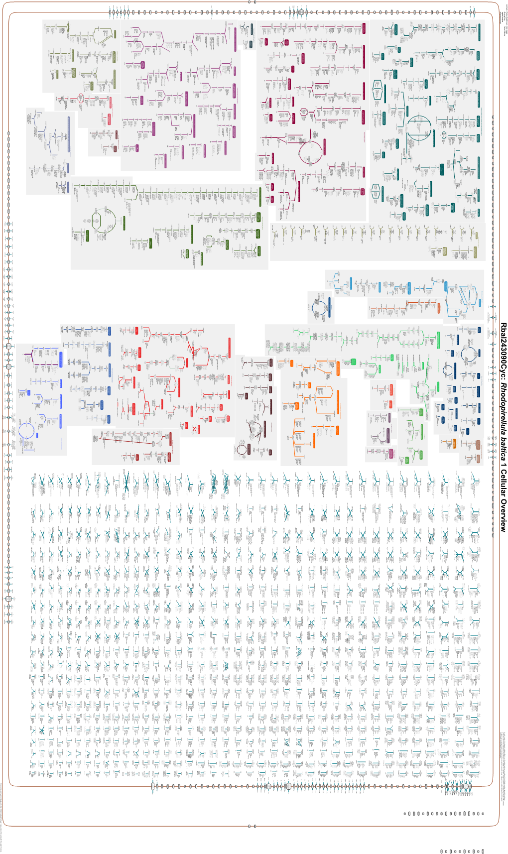 Generate Metabolic Map Poster