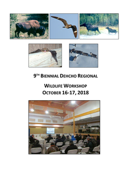 Dehcho Regional Wildlife Workshop Fort Simpson, NT