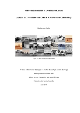 Pandemic Influenza at Oodnadatta, 1919: Aspects of Treatment And