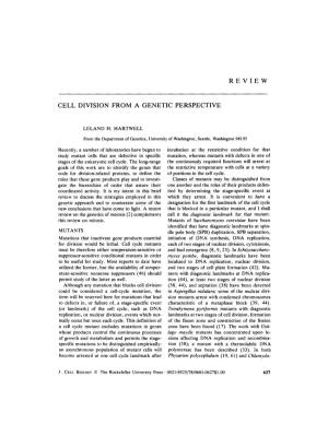 Review Cell Division from a Genetic Perspective