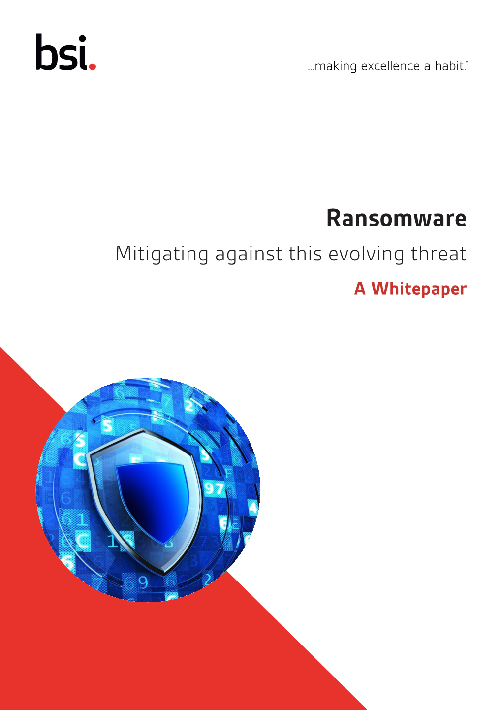 Ransomware Mitigating Against This Evolving Threat a Whitepaper