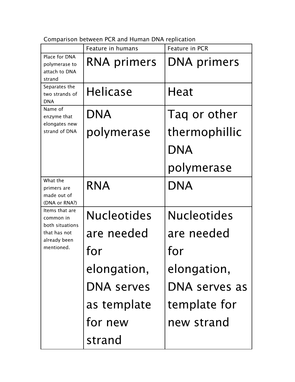 Comparison Between PCR And Human DNA Replication