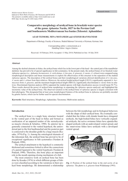 Comparative Morphology of Urohyal Bone in Brackish Water Species Of