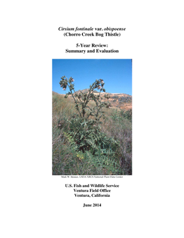 Cirsium Fontinale Var. Obispoense (Chorro Creek Bog Thistle) 5-Year