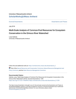 Multi-Scale Analysis of Common-Pool Resources for Ecosystem Conservation in the Orinoco River Watershed