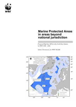 Marine Protected Areas in Areas Beyond National Jurisdiction