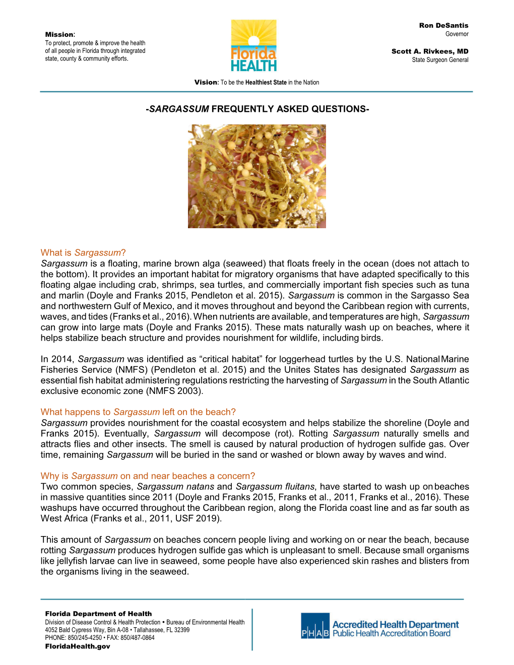 Sargassum Factsheet