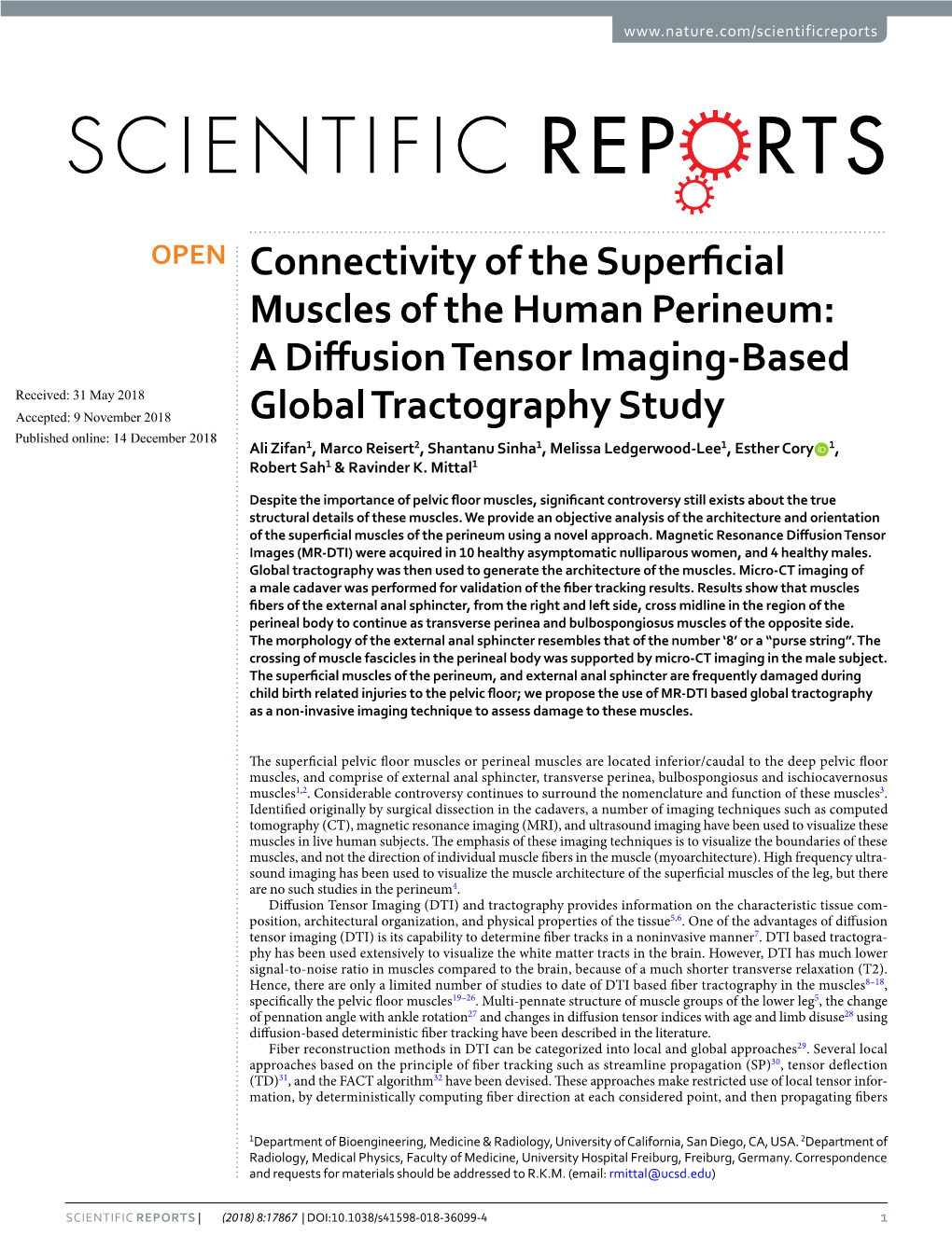 Connectivity of the Superficial Muscles of the Human Perineum: A