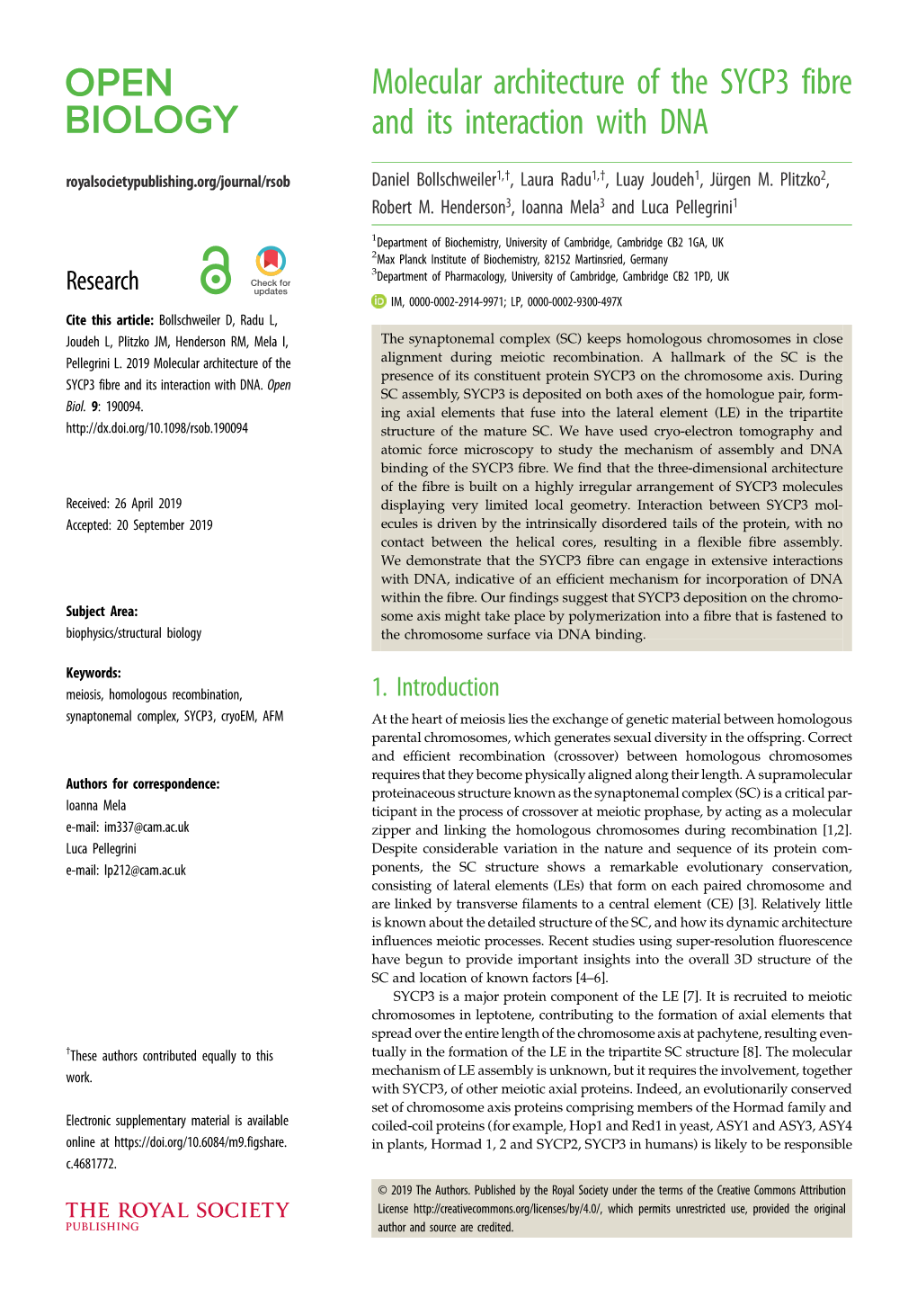 Molecular Architecture of the SYCP3 Fibre and Its Interaction with DNA