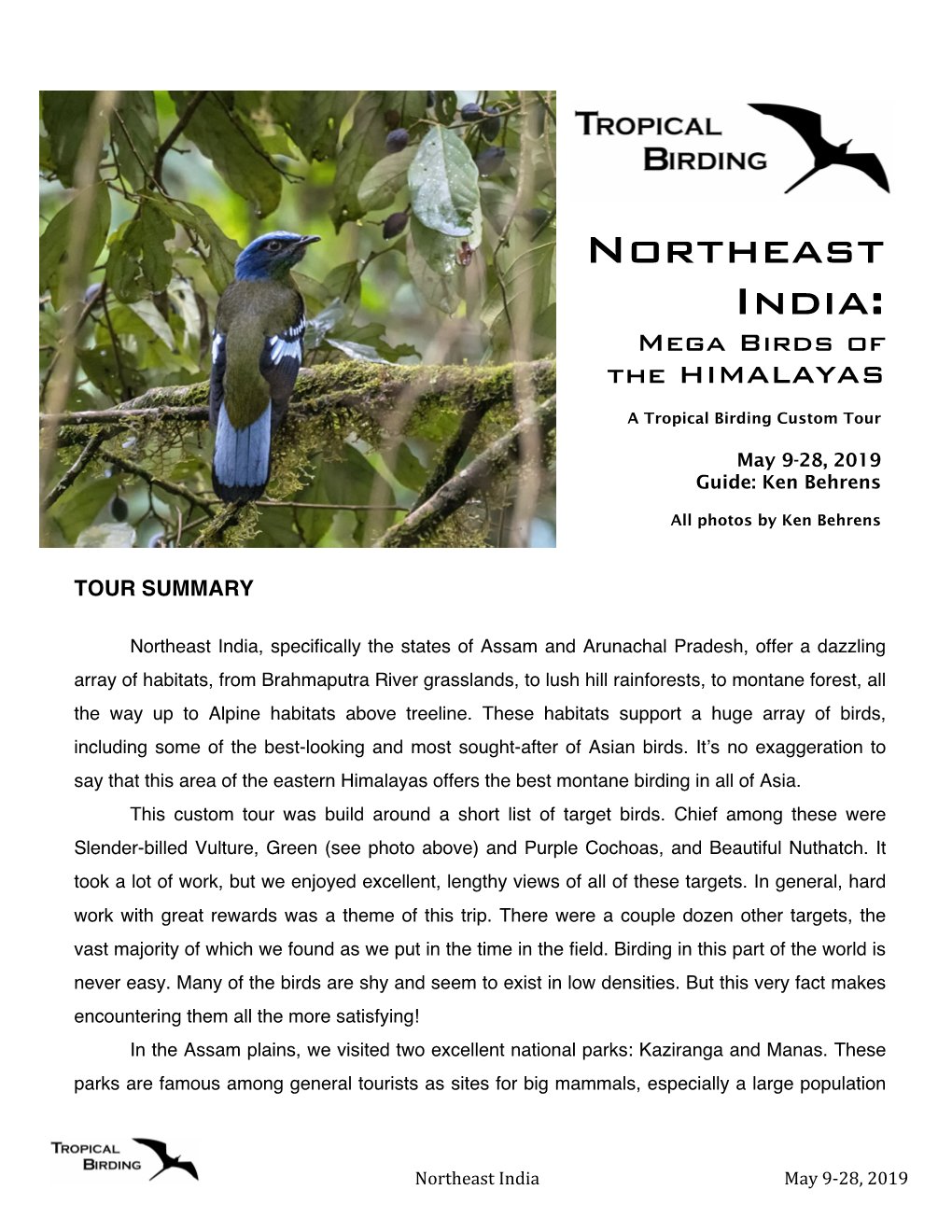 Northeast India: Mega Birds of the HIMALAYAS