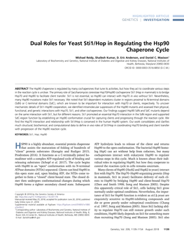 Dual Roles for Yeast Sti1/Hop in Regulating the Hsp90 Chaperone Cycle