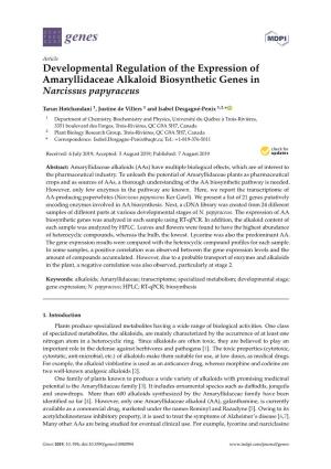 Developmental Regulation of the Expression of Amaryllidaceae Alkaloid Biosynthetic Genes in Narcissus Papyraceus