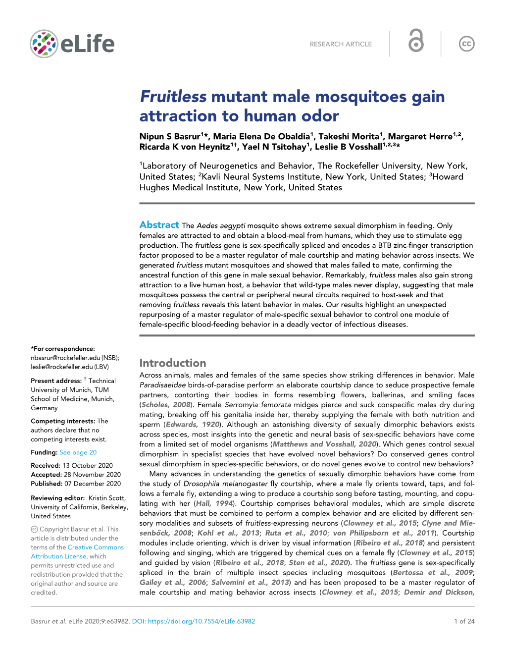 Fruitless Mutant Male Mosquitoes Gain Attraction to Human Odor