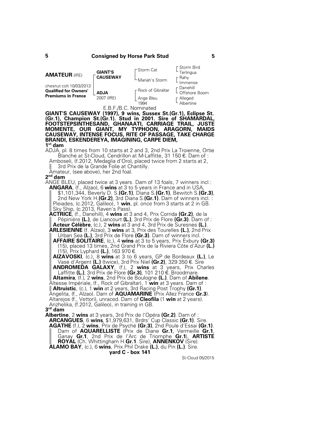 5 Consigned by Horse Park Stud 5 AMATEUR (IRE) E.B.F./B.C