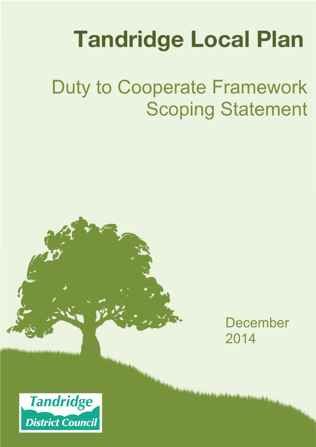 Duty to Cooperate Framework Scoping Statement
