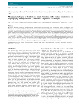 Molecular Phylogeny of Central and South American Slider Turtles: Implications for Biogeography and Systematics (Testudines: Emydidae: Trachemys)