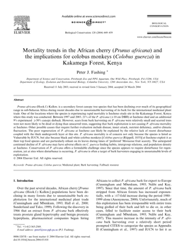 Mortality Trends in the African Cherry (Prunus Africana) and the Implications for Colobus Monkeys (Colobus Guereza)In Kakamega Forest, Kenya