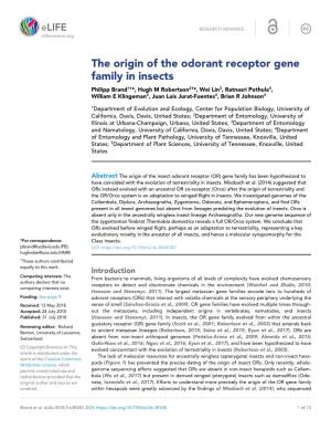 The Origin of the Odorant Receptor Gene Family in Insects