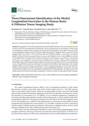 Three-Dimensional Identification of the Medial Longitudinal Fasciculus