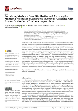 Prevalence, Virulence Gene Distribution and Alarming the Multidrug Resistance of Aeromonas Hydrophila Associated with Disease Outbreaks in Freshwater Aquaculture