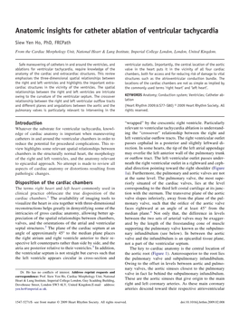 Anatomic Insights for Catheter Ablation of Ventricular Tachycardia