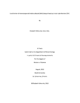 Biosynthesis by in Situ Hybridization (ISH)