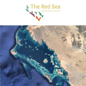 The Red Sea Project
