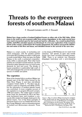 Threats to the Evergreen Forests of Southern Malawi