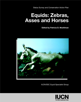 Zebras, Asses and Horses