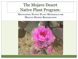 The Mojave Desert Native Plant Program