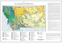 Level IV Ecoregions of Montana