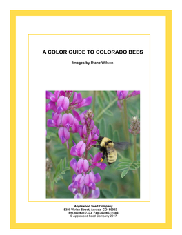 Colorado Bee Guide