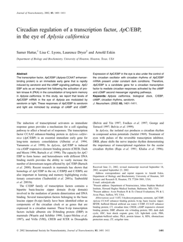 Circadian Regulation of a Transcription Factor, Apc/EBP, in the Eye of Aplysia Californica