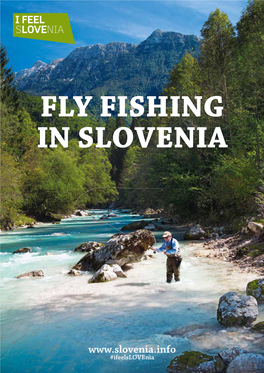 Fly Fishing in Slovenia