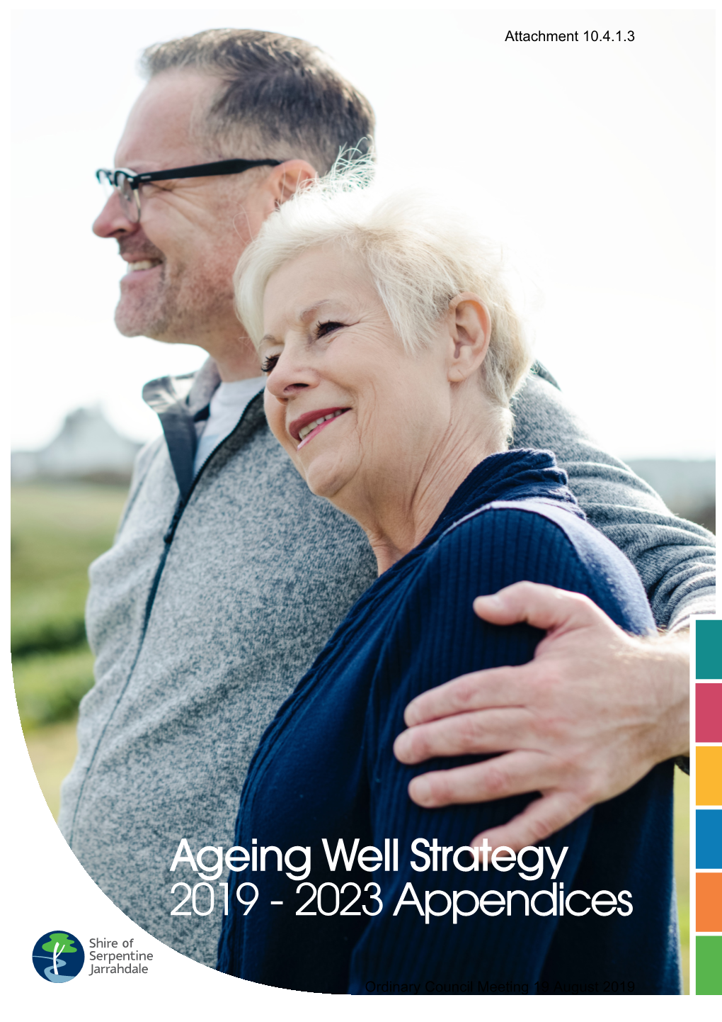 Ageing Well Strategy 2019 - 2023 Appendices