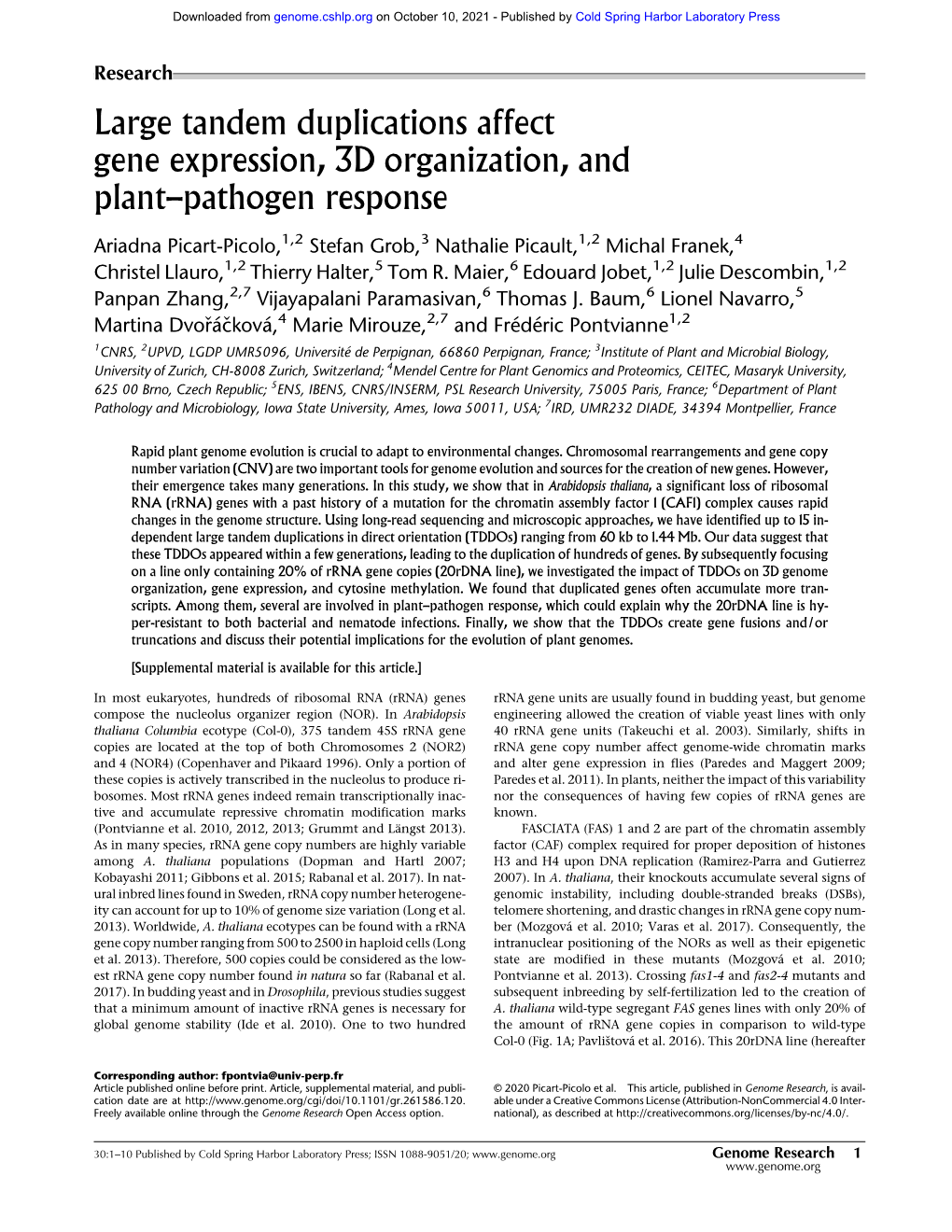 Large Tandem Duplications Affect Gene Expression, 3D Organization, and Plant–Pathogen Response