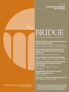 Bridge Linking Engineering and Society