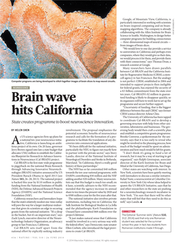 Brain Wave Hits California