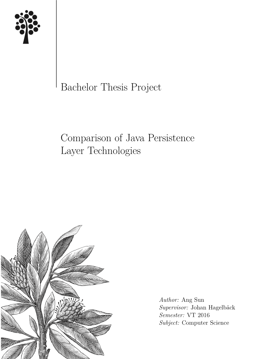 Bachelor Thesis Project Comparison of Java Persistence Layer