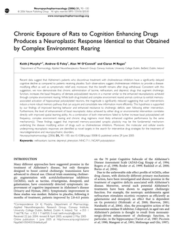 Chronic Exposure of Rats to Cognition Enhancing Drugs Produces a Neuroplastic Response Identical to That Obtained by Complex Environment Rearing